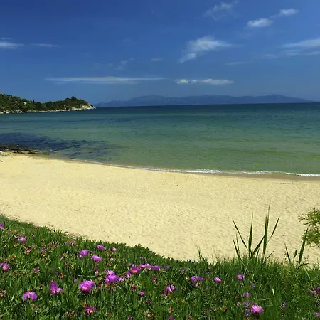 Hotel apartamentowy Amalia 3*